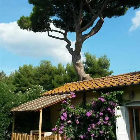 Alloggio per agriturismo I Cavalleggeri *